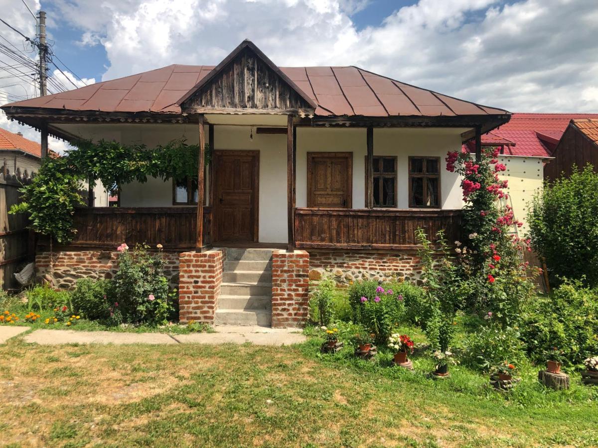 Вилла Old Court Куртя-де-Арджеш Экстерьер фото